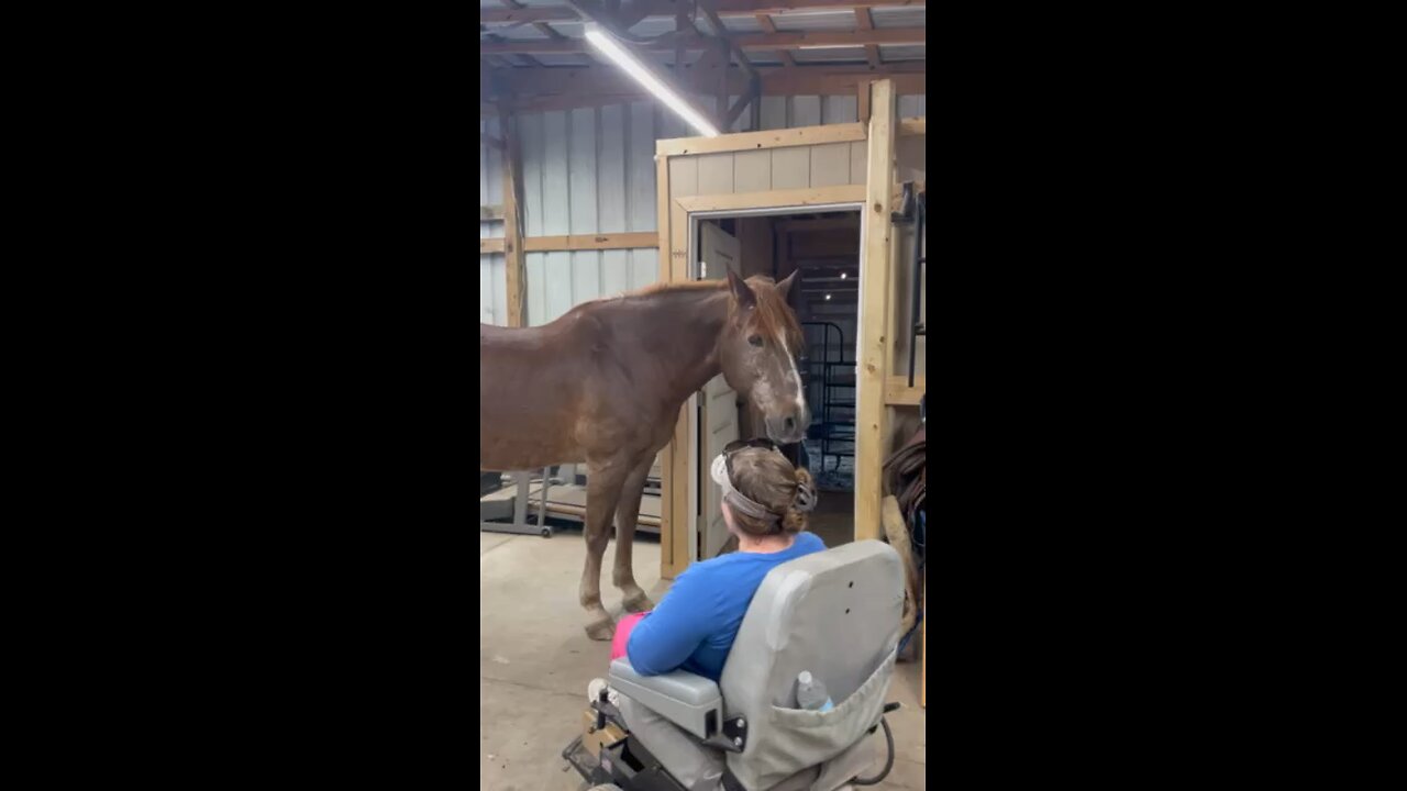 Boomer with my wife in the barn gym.