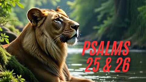Solace in Psalms 25 & 26--Timeless Wisdom for Modern Challenges🙆🤓😎🤩😍 #motivation #facts #life # 😍😀🤣👐