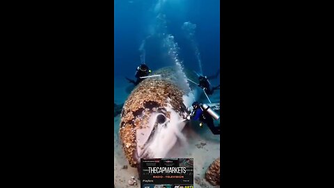 Freeing the Beautiful Dolphin from Barnacle Infestation