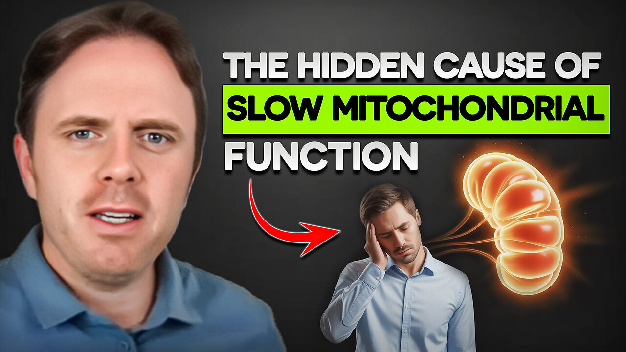 The Truth About Mold Metals and Mitochondria