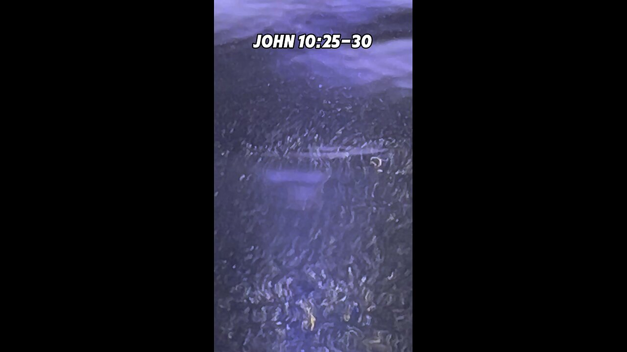 John 10