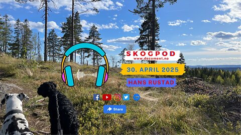Skogpod 30. april 2025