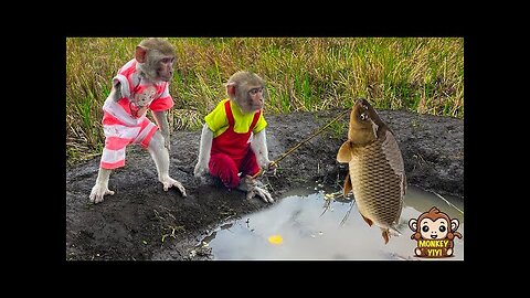 The moment YiYi and YinYin boasted of being the best giant fishers