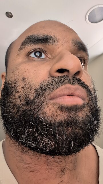 wild animals with pickup trucks.