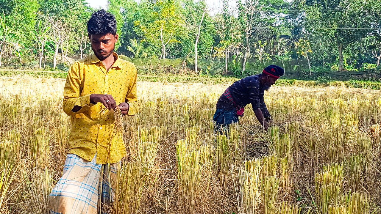 Farmers in Bangladesh