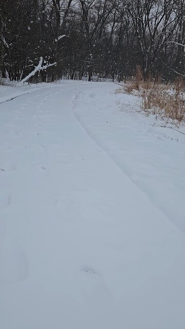 Already Winter at Trail Head