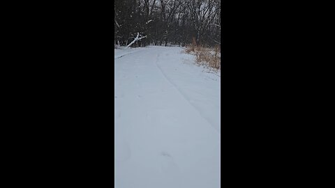 Already Winter at Trail Head