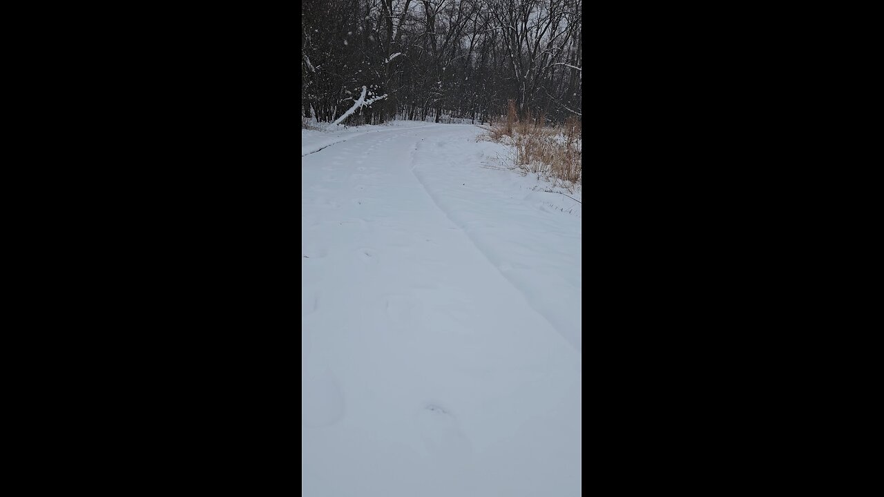 Already Winter at Trail Head