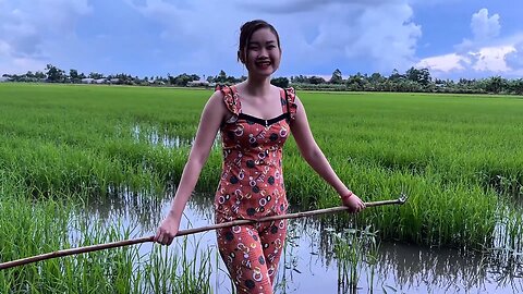 Planting Rice at Golden Hour! 🌅 Southern Vietnam Countryside Life