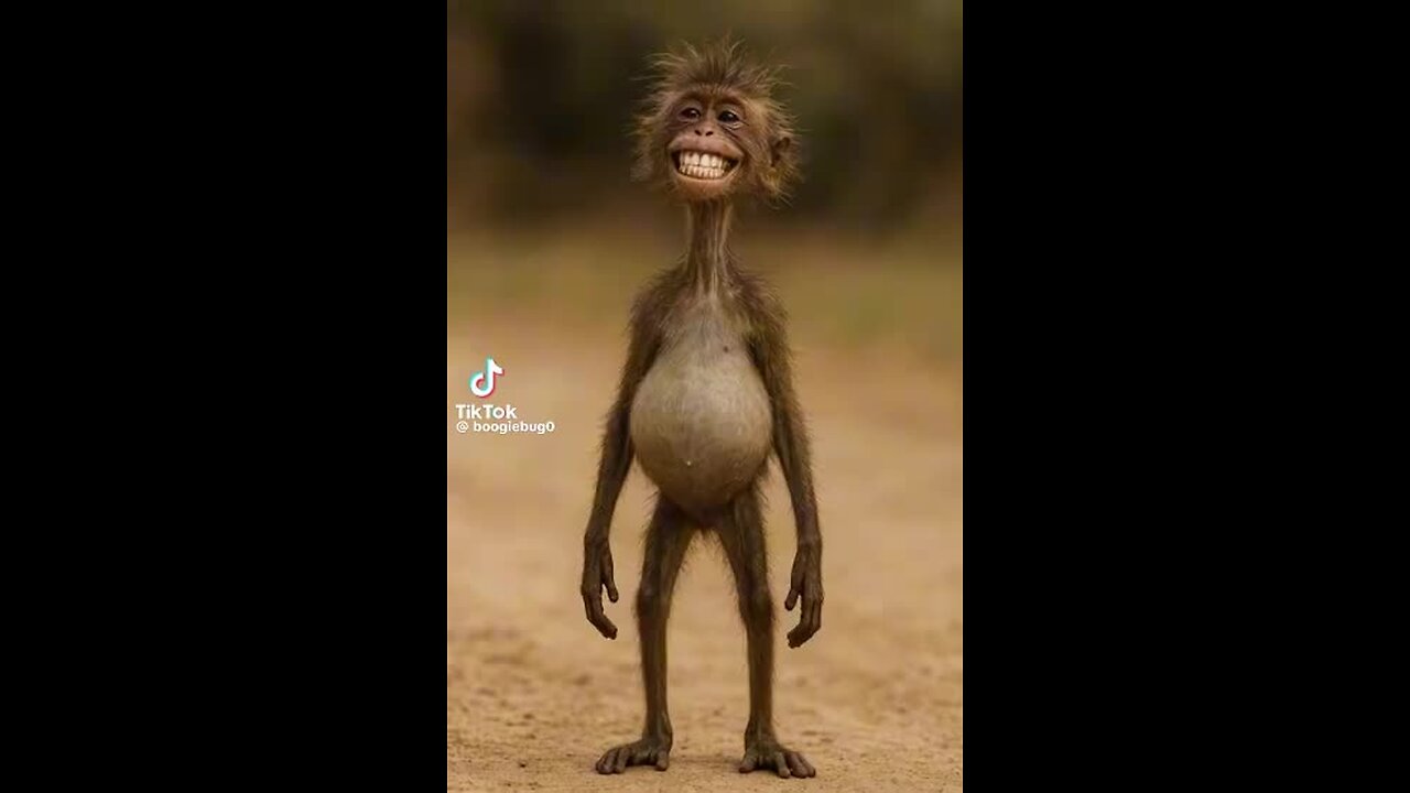 😁😁😁😁