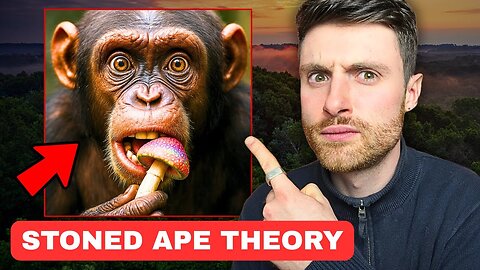 The Strangest Theory of Human Evolution