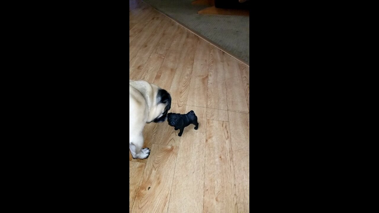 Otis meets mini me
