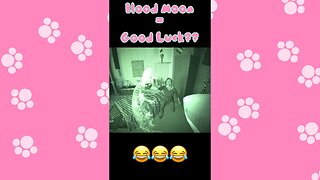 Wait… We Actually Got It Right?! 😳