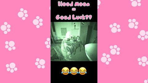 Wait… We Actually Got It Right?! 😳