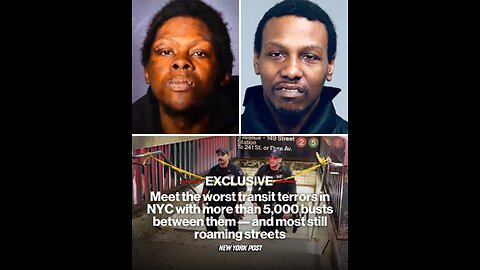 Meet the worst transit terrors in NYC with more than 5,000 busts between them