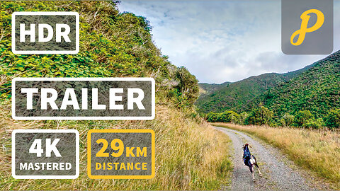 Summer Gravel Cycling 224 - Kaitoke to Cross Creek Return | 4K TRAILER