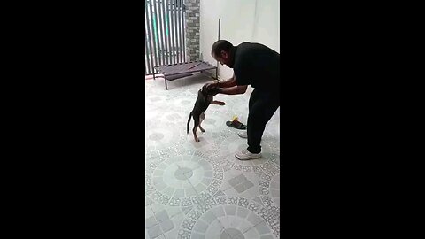satisfying Video