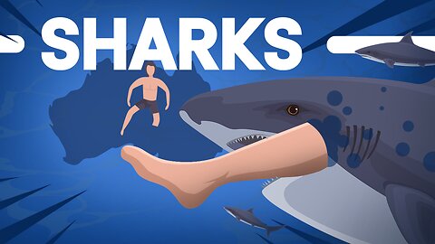 SHARKS ! Is Australia Really That Dangerous?