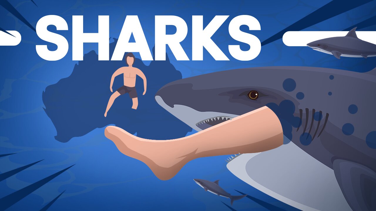 SHARKS ! Is Australia Really That Dangerous?