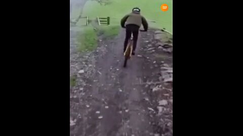 Simplang Trip 211: Bicycle collision to a gate accidentally fell down to push-ups exercise.