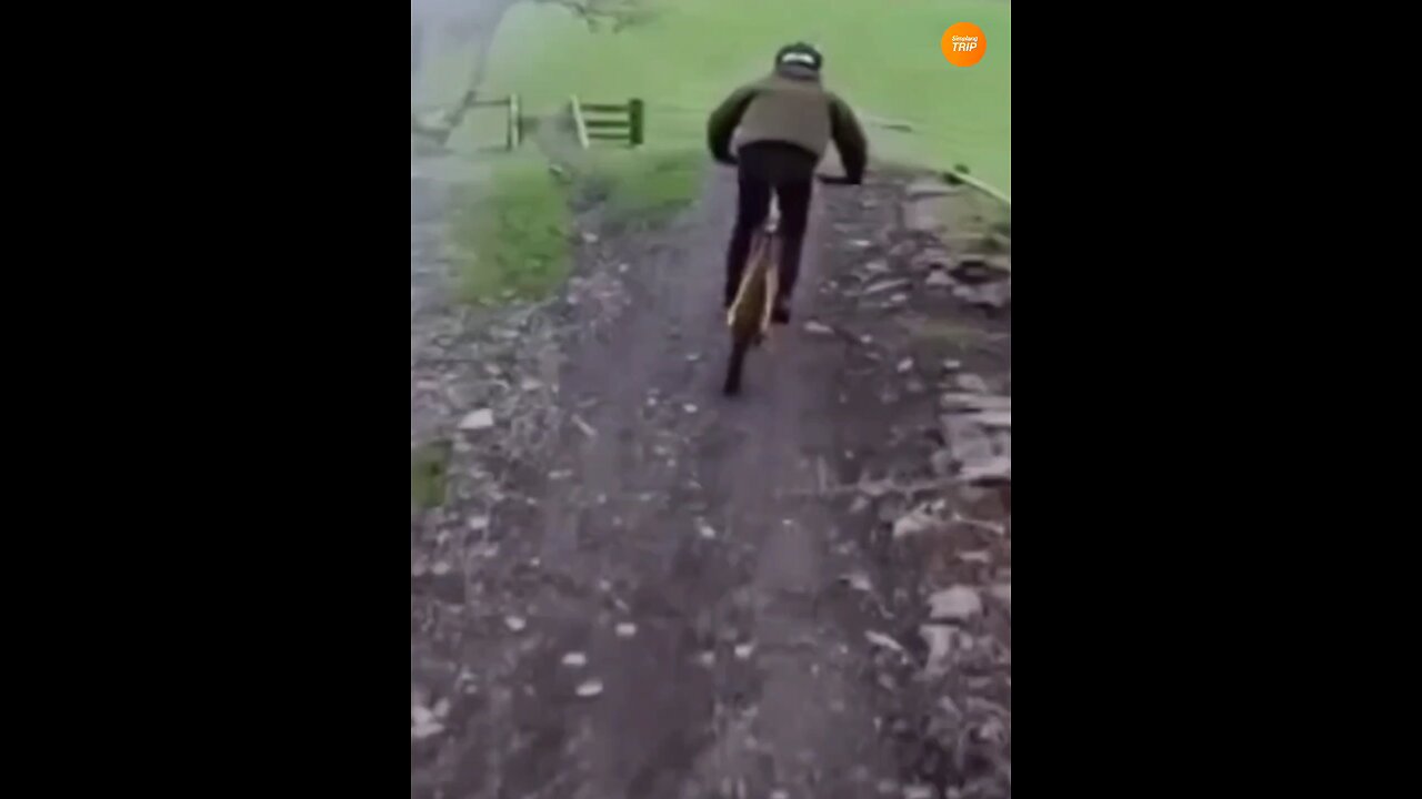 Simplang Trip 211: Bicycle collision to a gate accidentally fell down to push-ups exercise.
