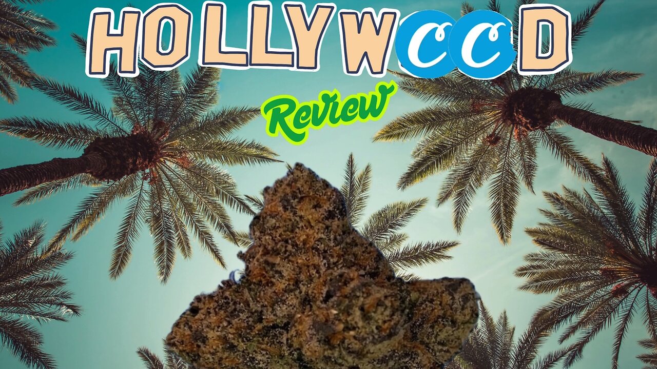 Cookies Hollywood Flower Review