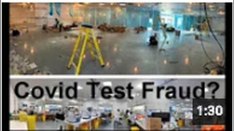 "Testimony on Covid Test Fraud Presented at Welsh Parliament by Stand Up X, 11 Oct 2020"