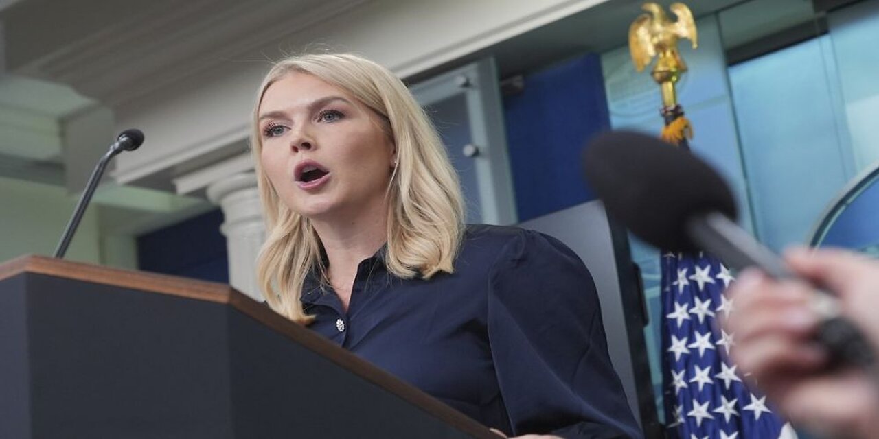 Karoline Leavitt Torches 'Mealymouthed' NYT Journo Who Got It Spectacularly Wrong on D.C. Cleanup