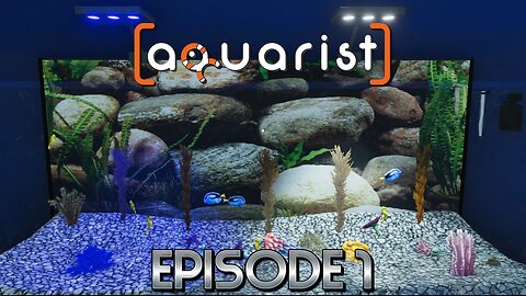 We Got Our First Aquarium On Our Birthday & Made The Family A Saltwater Aquarium! | Aquarist – Ep 1