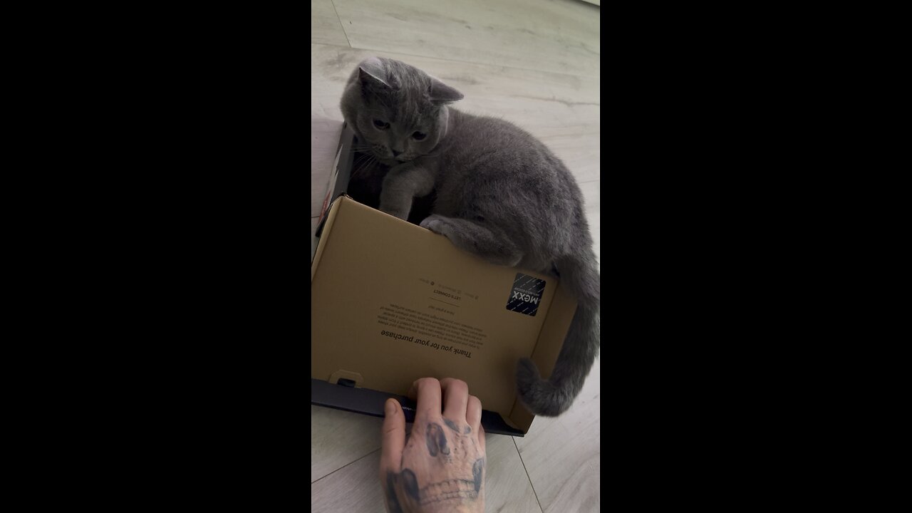 Play Mode