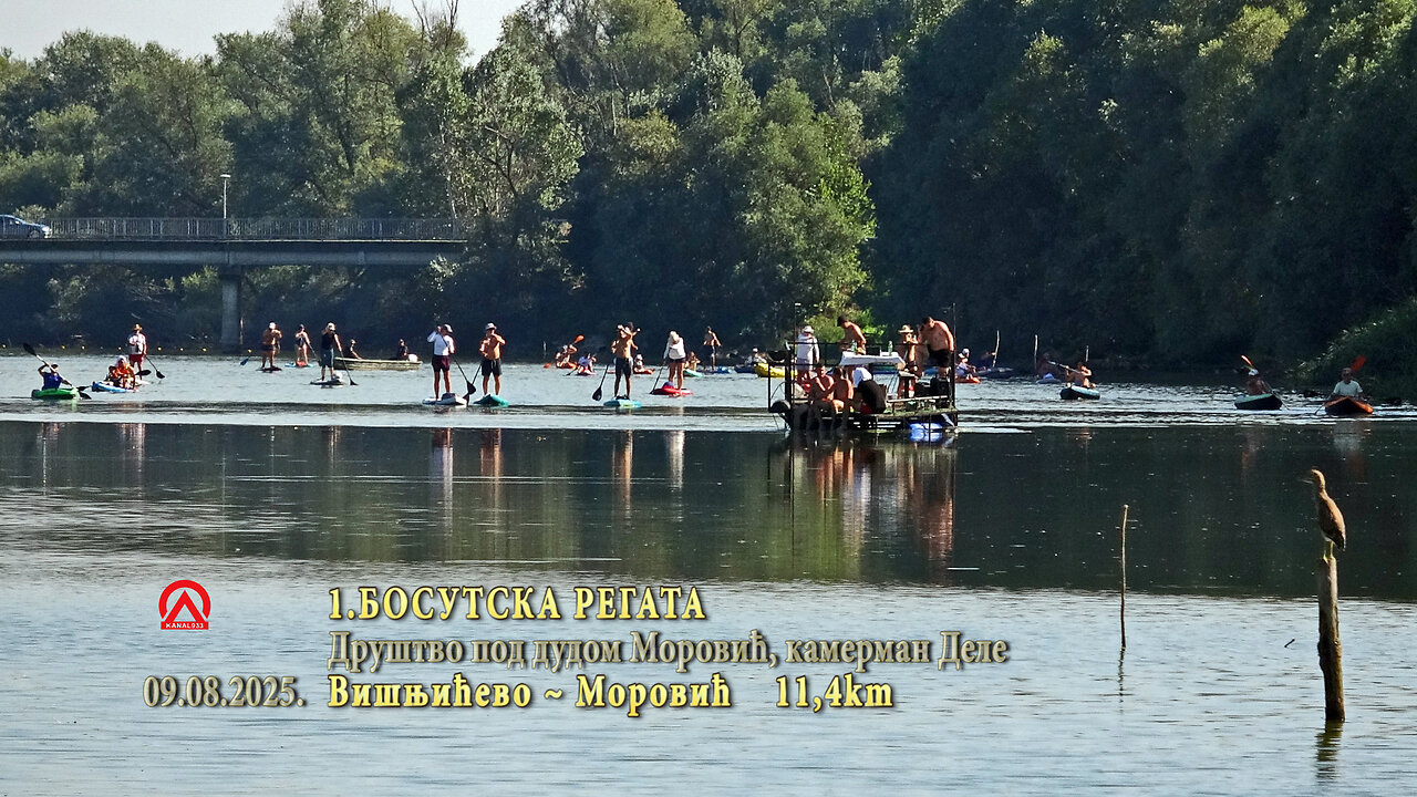 20250809 1.Bosutska regata
