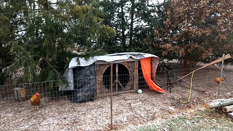 WINTERIZING The Halfling Hut! _ MOVING BIRDS! // Whitt Acres