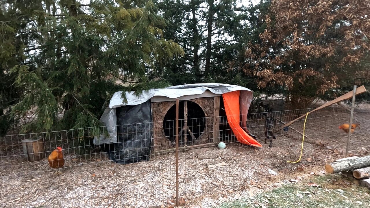 WINTERIZING The Halfling Hut! _ MOVING BIRDS! // Whitt Acres