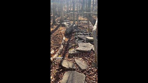 STONE NATURE WALK