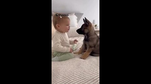 Pure love in one frame 🥰❤️ When your baby meets their furry best friend for the first time! 🐶👶