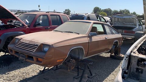 1979 Plymouth Horizon TC3 Junkyard Tour