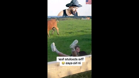 trynottolaugh part 173