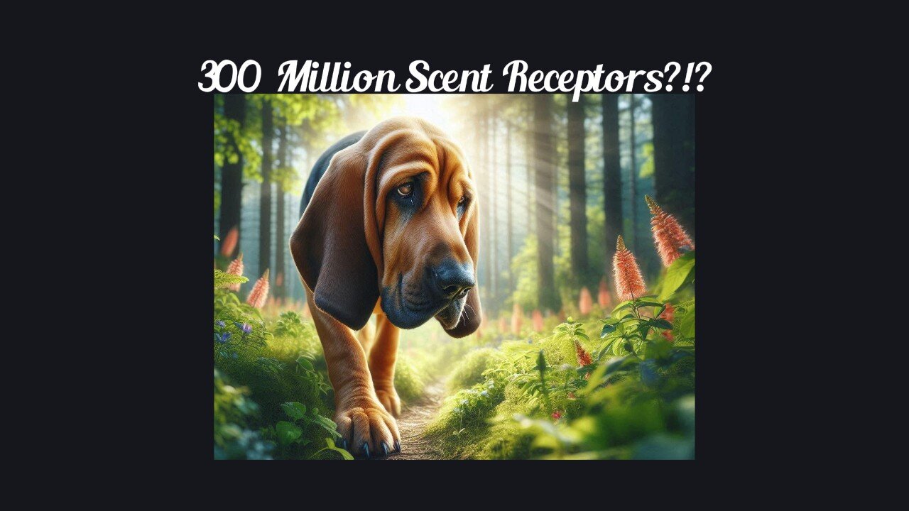 Fun Fact for Mar 30th 2025 Pt 2