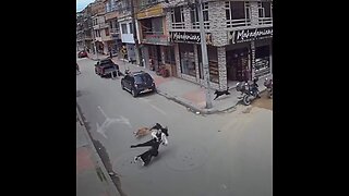 Una joven sufre un accidente tras chocar con perros