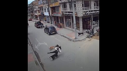 Una joven sufre un accidente tras chocar con perros