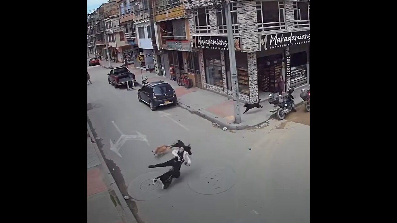 Una joven sufre un accidente tras chocar con perros