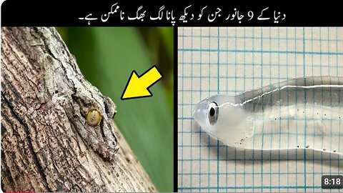 9 Most Invisible Animals In The World | وہ جانور جن کو دیکھ پانا لگ بھگ ناممکن ہے | StoryTimee