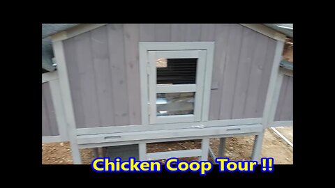 Finishing Up the Chicken Coop | The "Tickinators" are Coming !!