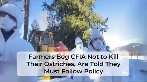 Heartbreaking: Feds Kill 400 Healthy Ostriches Over Bird Flu Despite No Symptoms