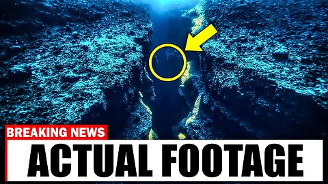 What Was Captured in the Puerto Rico Trench Left Scientists Speechless