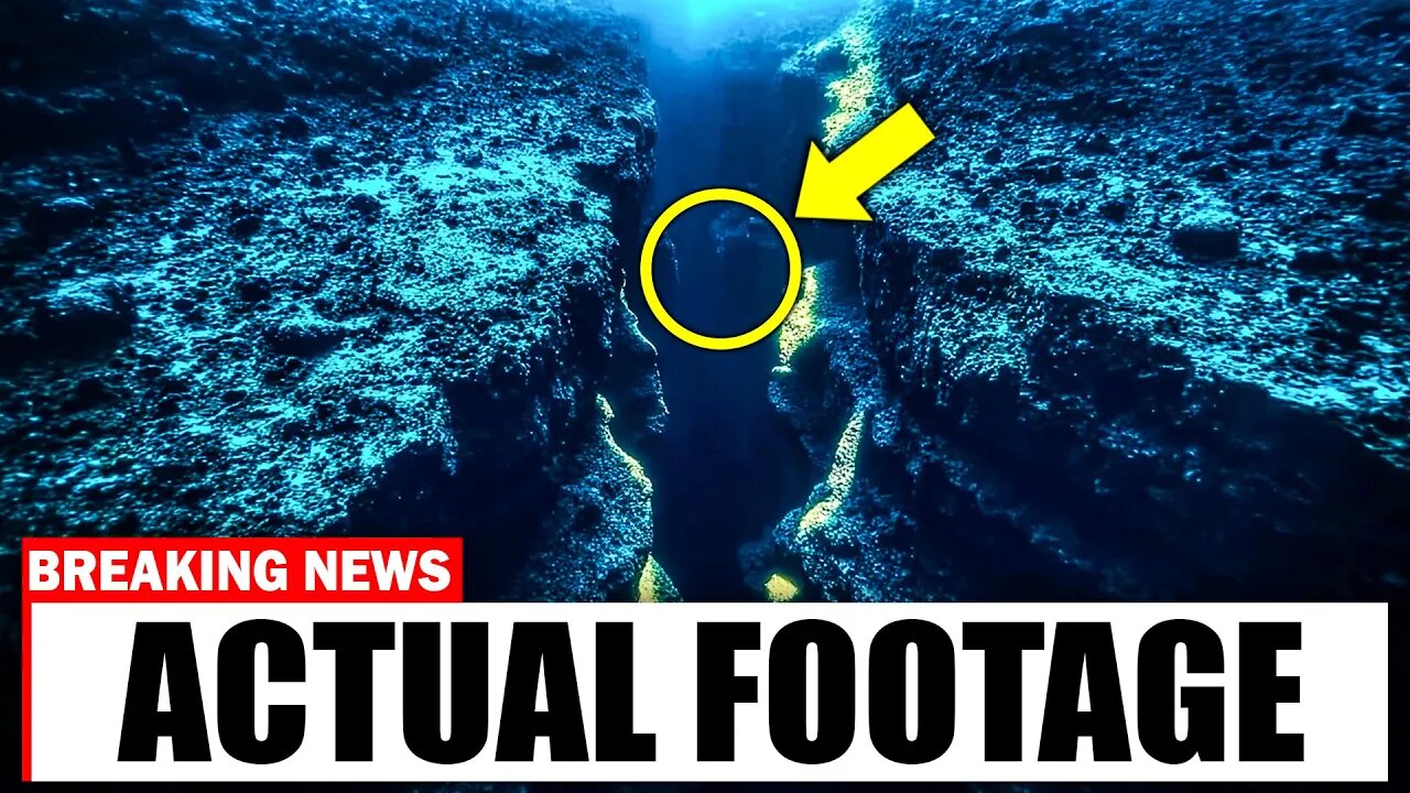 What Was Captured in the Puerto Rico Trench Left Scientists Speechless