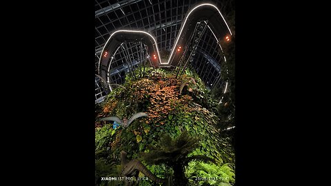 #gardensbythebay #cloudforest