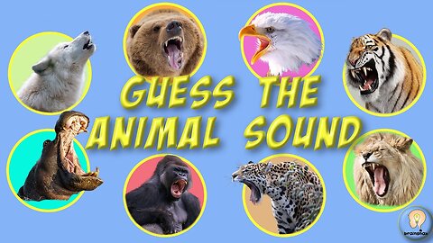 Guess the Animal Sounds Quiz! 🐶🐱🎶 | AMZG Kids