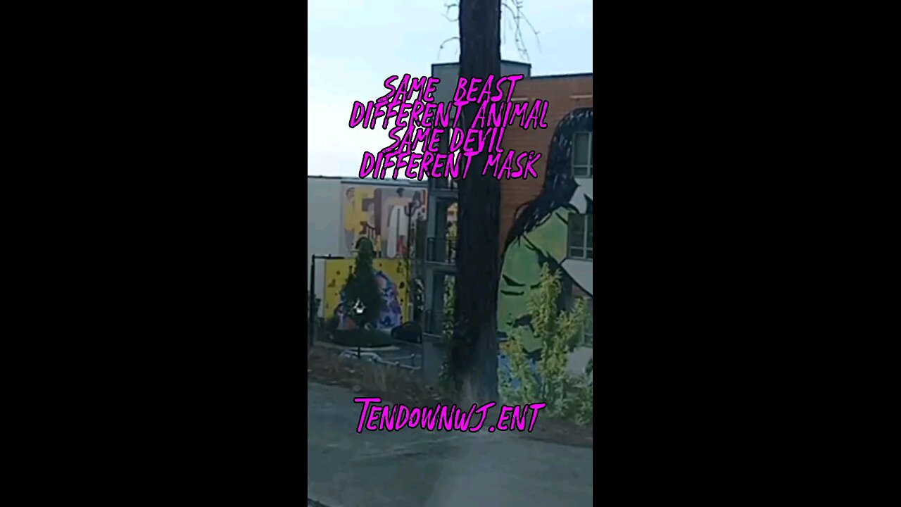 TenDown WJ Ent