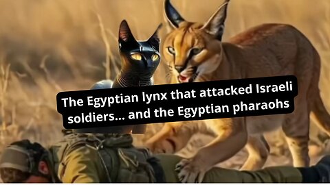 The Egyptian lynx that attacked Israeli soldiers... and the Egyptian pharaohs